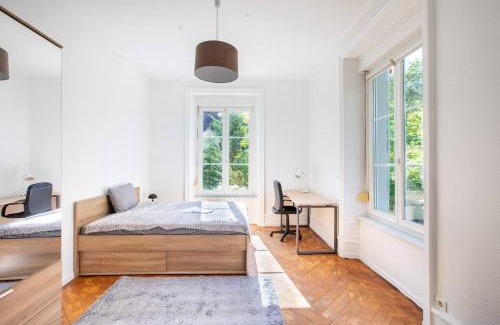 Mulhouse Apartment | Suite Spacieux , Maison de Maître, parking Gratuit, MULHOUSE CENTRE