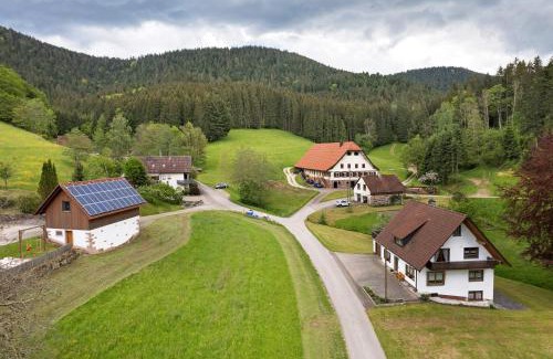 Wolfach - Saint Roman Apartment | Sulzerhof