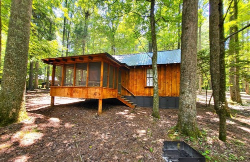 Saluda Cabin | Summer Breeze cabin at Cabin Fever in NC!