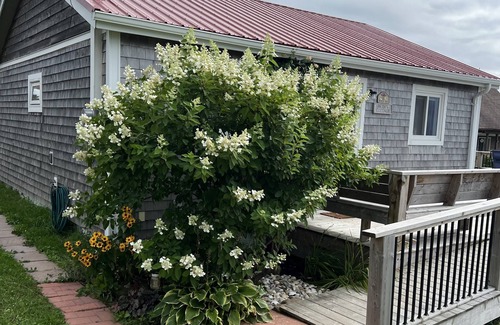 Port Hood Cottage | Summer Fun on Sandy Beach, Warm Water