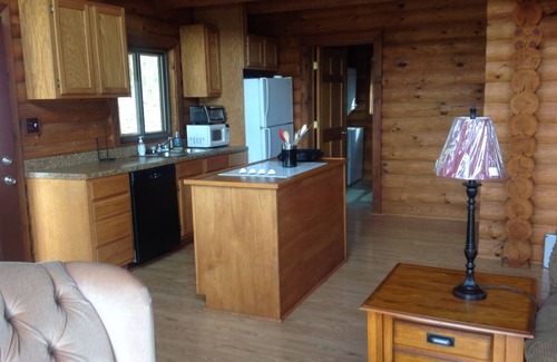 Amity Cabin | Summer is here! Come stay with us 🏞🚣‍♀️🚣‍♂️🌞