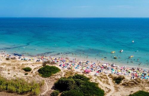 Torre Pali Bed & Breakfast | Summer View