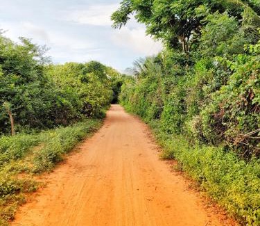 Auroville House | Sun Farm House
