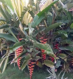 Unawatuna Bed & Breakfast | Sun & Moon Good View Villa