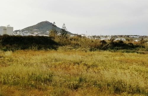 Agia Anna Apartment | Sunday Studios