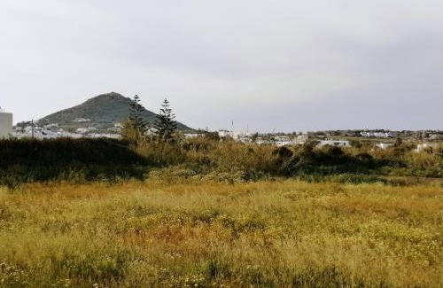 Agia Anna Apartment | Sunday Studios