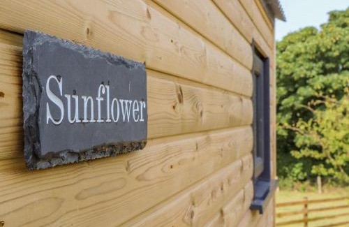 Illogan House | Sunflower
