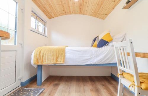 Illogan House | Sunflower