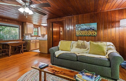 Maggie Valley Cabin | Sunflower Shack: 1 BR, 1 BA in Maggie Valley, Sleeps 2