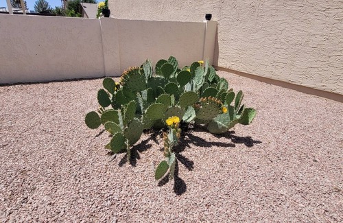 Sun Lakes House | Sunny Arizona is calling you!