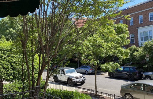 Adams Morgan Apartment | Sunny Furnished 1 Bedroom Apt in Adams Morgan