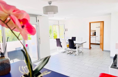 Brissago Apartment | Sunny Modern Apartment Lake View Relax