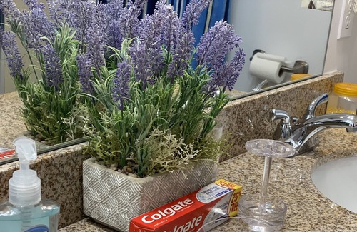 Tunkhannock Township House | Sunny Pick