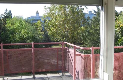 Liesing House | Sunny Side