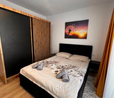 Baia Mare Apartment | Sunrise apartment