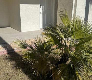 Navarre Beach Apartment | Sunset Harbor Palms 1-108