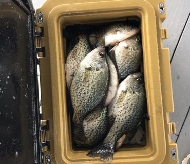 Zwolle House | Sunset Paradise