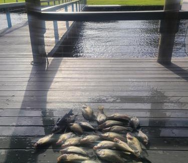 Zwolle House | Sunset Paradise