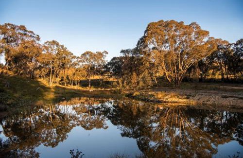 Grattai Cabin | Sunstone - 2 Bed Eco Cabin - Kundalini Lodge