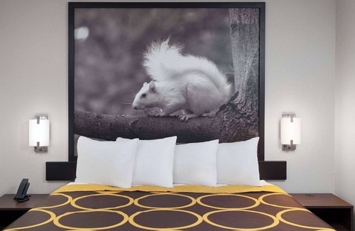 Olney Hotel | Super 8 by Wyndham Olney