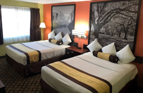 Ontario Hotel | Super 8 by Wyndham Ontario