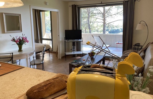 Saumane-de-Vaucluse Apartment | Superb Apartment RARE Golf View Saumane Provence with Swimming Pool