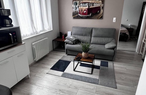 Epinal Apartment | Superb, cosy apartment, right in the center of Epinal, secure residence, Moselle view