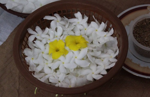 Galle House | Superb Villa-Just 5 minutes to historical Galle Fort in Sri Lanka