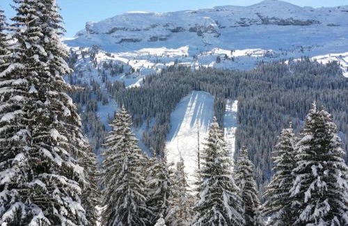 Flaine Apartment | Superbe 2 pièces+cabine rénové avec balcon - 4 pers, Flaine Forêt - FR-1-425-191