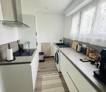 Wintzenheim Apartment | Superbe appartement lumineux avec parking gratuit