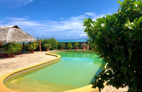 Paea Apartment | Superbe bord de mer, accès lagon et piscine privée