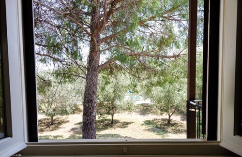 Grosseto Apartment | Superior apartment with private garden