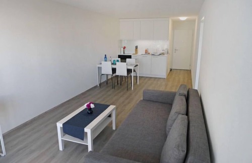 Lucerne Apartment | Superior by Interhome