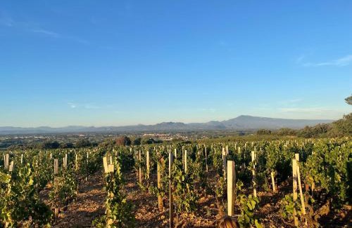 Courthezon Apartment | Sur la route des vignerons