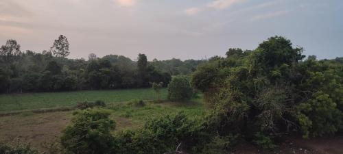 Auroville Bed & Breakfast | Surya Villa Guesthouse