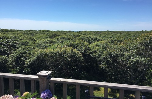 Tom Nevers House | Sweeping Views, Great Family Rental