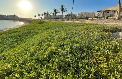 Salalah Apartment | Sweet Lily Hawana Studio Apartment for Daily Rent