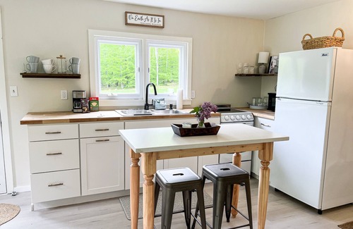 Pellston Cottage | Sweet Little Cottage, Fully Remodeled. .7M to Douglas 2.3 to Airport!