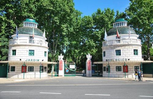 Sao Domingos de Benfica Apartment | Sweet Little Orange