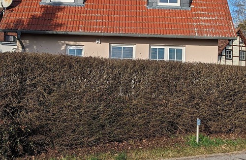 Muritz House | Sweet Spot am Fleesensee - Balance Spot am Fleesensee