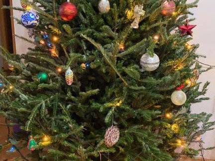 Petropavlovsk-Kamchatskiy Ski Chalet | Swiss Chalet in Kamchatka