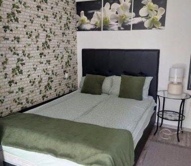 Veszprem Bed & Breakfast | Szalay Villa