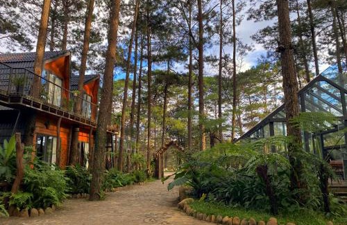 Kon Plong Hotel | T'MĂNG ĐEENG HOMESTAY