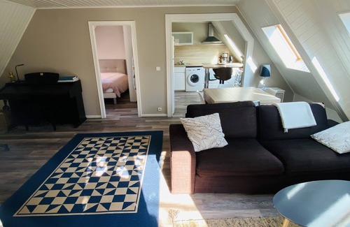 Haguenau Apartment | T2, air-conditioned with terrace, in pedestrian zone with rooftop views.