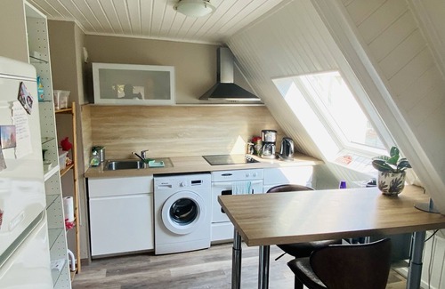 Haguenau Apartment | T2, air-conditioned with terrace, in pedestrian zone with rooftop views.