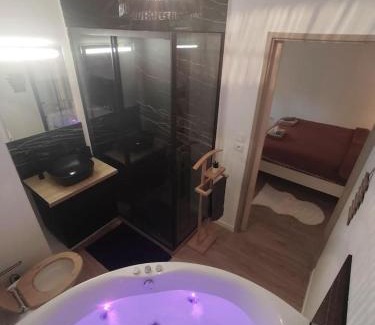 ZAC Andromede Apartment | T2 balnéothérapie, jardin, parking, tram, boulodrome