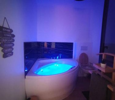 ZAC Andromede Apartment | T2 balnéothérapie, jardin, parking, tram, boulodrome
