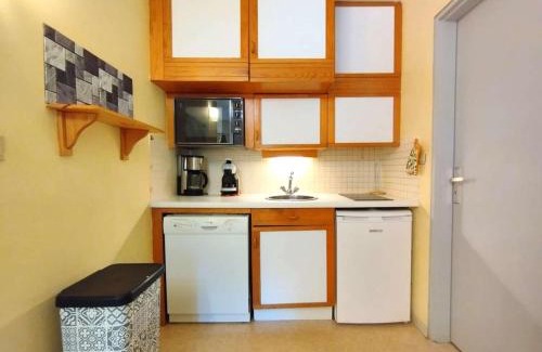 Saint-Lary-Soulan Apartment | T2 Cabine avec Balcon au Cœur des Thermes - 6 Pers, Parking, Proche Télécabines, Équipé Tout Confort - FR-1-457-230