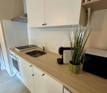 Blagnac Apartment | T2 Cosy Aéroport Toulouse Blagnac