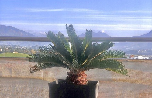 Sarrola-Carcopino Apartment | T2 good standing 10mins from Tahiti beach & Capitello